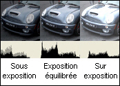 histofinal_fr.jpg : 