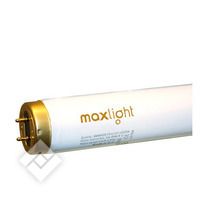 MAXLIGHT LAMP 100W HIGH INTENSIVE
