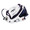 CALOR GV8431 PRO EXPRESS