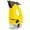 KARCHER SC 952