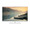 PANASONIC TX-L39E6EW