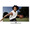 PANASONIC TX-L47DT50E