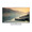 PANASONIC TX-L50E6E