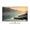 PANASONIC TX-L60DT60E