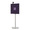 YAMAHA ISX-800 PURPLE