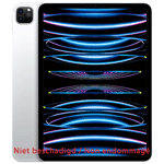 APPLE IPAD PRO M2 11CEL 2TB SIL