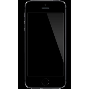 artillerie Milieuactivist Verpersoonlijking APPLE Refurbished iPhone 5S Zwart 16gb bij Vanden Borre: gemakkelijk  vergelijken en aankopen !