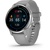 GARMIN VENU 2 PLUS POWDER GRAY PASSIVATED