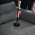 ROWENTA X-FORCE FLEX 9.60 ANIMAL RH2079WO