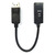 TEMIUM ADAPT.DISPLAYPORT TO HDMI