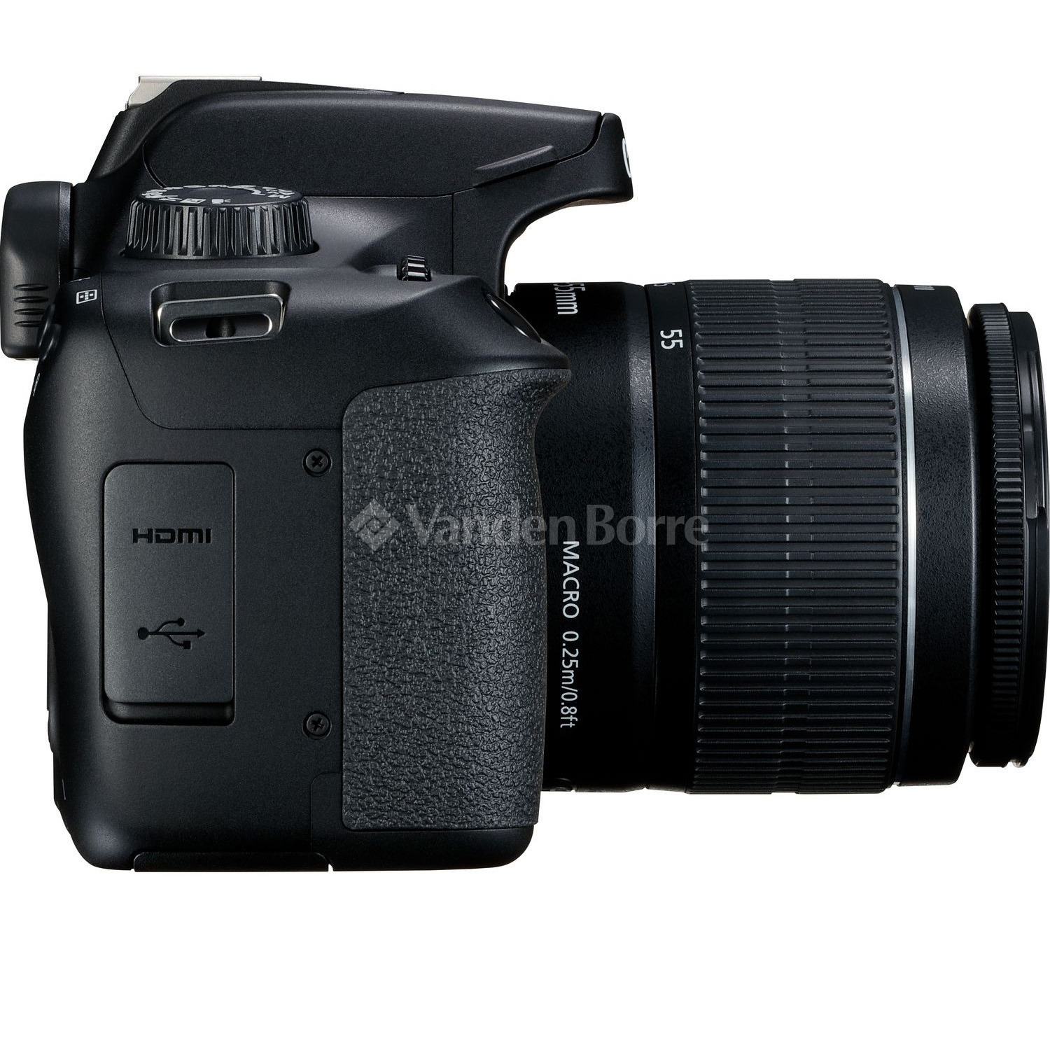 CANON EOS 4000D + 1855MM DC III + 75300MM DC bij Vanden Borre