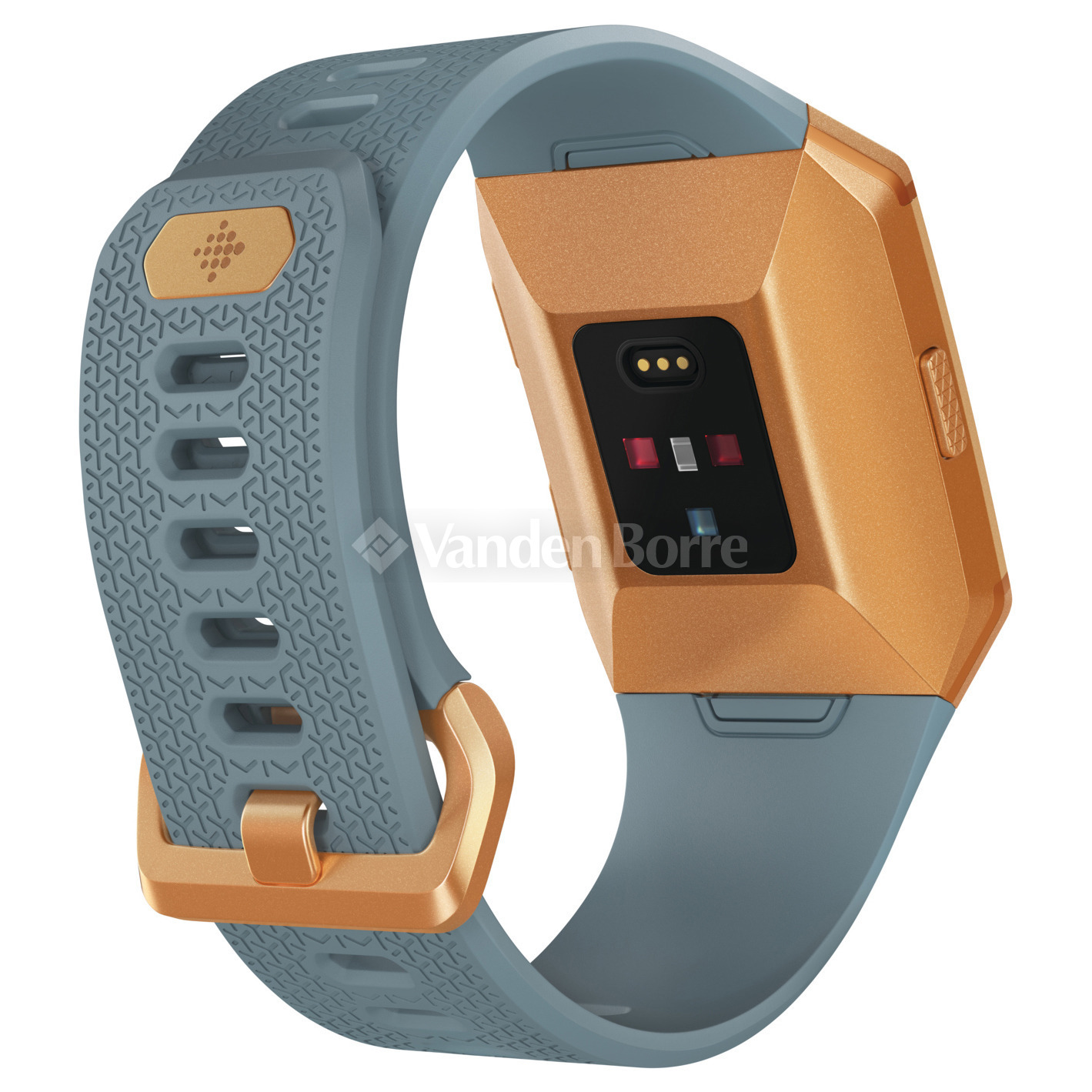 fitbit ionic vandenborre