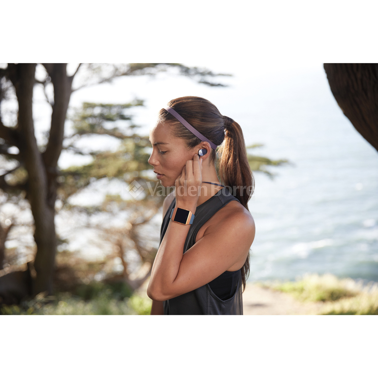 fitbit ionic vandenborre