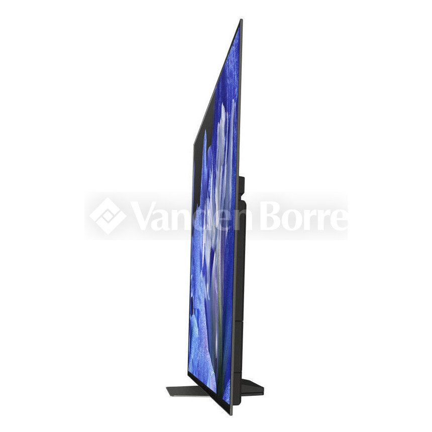 Vanden Borre Tweede keuze SONY BRAVIA OLED KD55AF8
